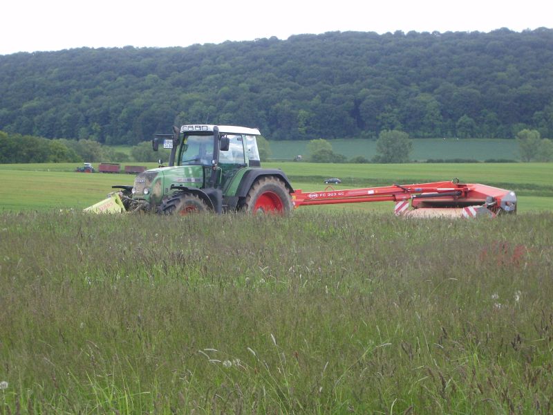 bilder/Fabian/8_6_2006/Fendt Vario 818 TMS 05.jpg
